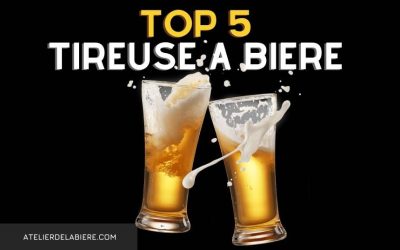 Top 5 Tireuse à Bière Avis sur la meilleure Machine à Pression